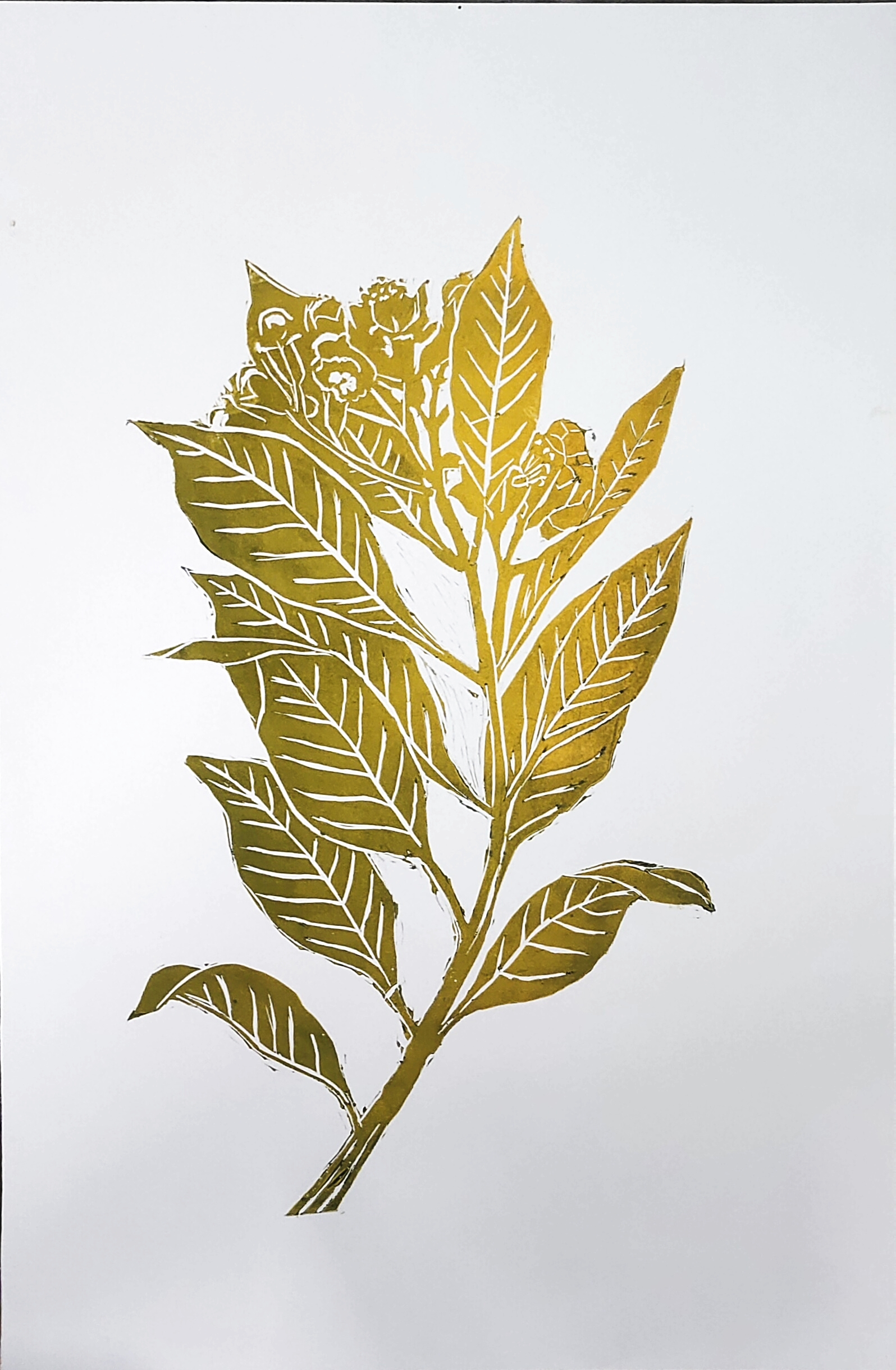 Chal Chitra / 01